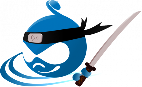 Druplicon Ninja